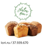 Text gluten free on bread. Стоковое фото, фотограф Сергей Толмачёв / Фотобанк Лори