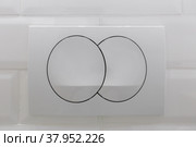Economic toilet flush press with two separate buttons. Стоковое фото, фотограф Сергей Толмачёв / Фотобанк Лори