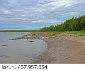Литораль во время отлива. Берег Белого моря, остров Горелый, Керетская губа, Кандалакшкий залив, Карелия. Солнечный день в июле. Стоковое фото, фотограф Сергей Рыбин / Фотобанк Лори