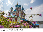 Купола православного храма Казанской иконы Божией Матери в городе Тутаеве (бывший Романов-Борисоглебск) на фоне разнотравья летним солнечным днем, Ярославская область, Россия (2022 год). Редакционное фото, фотограф Николай Винокуров / Фотобанк Лори