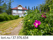Дача архимандрита в Ботанческом саду на Соловецких островах. Стоковое фото, фотограф Николай Гернет / Фотобанк Лори
