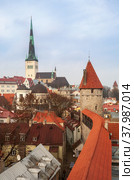 View of the fortress walls and towers and the Church of St. Olaf (Oleviste), Tallinn, Estonia (2011 год). Стоковое фото, фотограф Юлия Бабкина / Фотобанк Лори