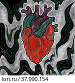 Heart. Стоковая иллюстрация, иллюстратор Диана Васильева / Фотобанк Лори