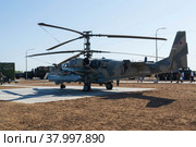 Волгоградская область, Средняя Ахтуба, Россия. Боевой ударный вертолет Ка-52 на аэродроме. (2021 год). Редакционное фото, фотограф Андрей Цыганков / Фотобанк Лори