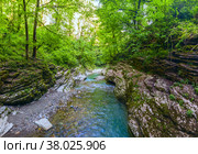 63 / 5 000 Результаты перевода Горная река с голубой водой. Мокрый каньон реки Псахо. Стоковое фото, фотограф Beerkoff / Фотобанк Лори