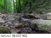 Пересыхающая река Кавярзе в Тамбовской щели, Краснодарский край, село Хребтовое. Стоковое фото, фотограф Михаил Таратонов / Фотобанк Лори