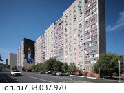 Мурал художника из Аргентины Максимилиано Баньяско, микрорайон Железнодорожный (2022 год). Редакционное фото, фотограф Дмитрий Неумоин / Фотобанк Лори