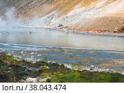 Extremophilous vegetation on the shore of a hot mineralized volcanic lake, reminiscent of the first land plants. Стоковое фото, фотограф Евгений Харитонов / Фотобанк Лори