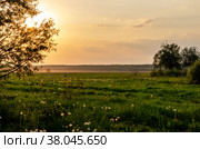 Закат в сельской местности. Стоковое фото, фотограф Свитич Олег / Фотобанк Лори