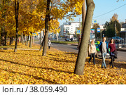 Осенние клены на Заневском проспекте. Санкт-Петербург (2018 год). Редакционное фото, фотограф Александр Щепин / Фотобанк Лори