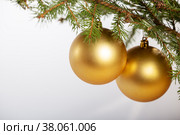 Two golden baubles on a branch of a Christmas tree. Стоковое фото, фотограф Юлия Бабкина / Фотобанк Лори