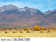 Beautiful rural landscape with hay harvesting in the meadows in the foothill valley against the backdrop of the Eastern Sayan mountain range. Siberia, Baikal region, Buryatia, Tunka valley, Arshan. Стоковое фото, фотограф Виктория Катьянова / Фотобанк Лори