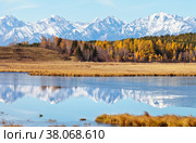 Yellowed forest and snow-capped mountain peaks are reflected in a calm river covered with a crust of ice on a sunny autumn day. Beautiful landscape, natural background, autumn travel. Стоковое фото, фотограф Виктория Катьянова / Фотобанк Лори