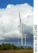 Wind farm against a blue sky with a cumulus cloud on a sunny summer day. Alternative energy sources. Algarve, Portugal, Europe (2012 год). Стоковое фото, фотограф Виктория Катьянова / Фотобанк Лори