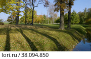 Петергоф, парк Александрия осенью. Канал парка с утками. Peterhof, Alexandria Park in autumn. The canal of the park with ducks. (2021 год). Редакционное видео, видеограф Евгений Романов / Фотобанк Лори