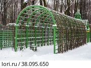 Берсо в Летнем саду. Зима. Санкт-Петербург (2012 год). Редакционное фото, фотограф Александр Щепин / Фотобанк Лори