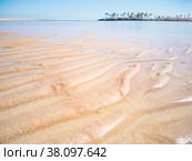 Close up view on Red Sea shallow. An abstract pattern on yellow sand. Green palm trees on horizon. Selective soft focus. Blurred background. Egyptian beach in February. (2020 год). Стоковое фото, фотограф Эдуард Слободянюк / Фотобанк Лори