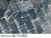 Laying gray paving slabs on a light base and filling the joints with black sand. Стоковое фото, фотограф Дмитрий Коростылев / Фотобанк Лори