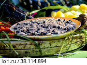 Алхалалалай. Корякский праздник. Камчатка. Конкурс на лучшую хозяйку Мимсх. Национальное блюдо из рыбы и ягод "Кылыкил". (2019 год). Стоковое фото, фотограф Ольга Логвинец / Фотобанк Лори