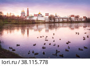 Утки в пруду, Новодевичий монастырь, Москва (2013 год). Стоковое фото, фотограф Baturina Yuliya / Фотобанк Лори