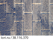 Paving slabs made of artificial stone at the stage of filling the joints with dry black sifted sand. Стоковое фото, фотограф Дмитрий Коростылев / Фотобанк Лори
