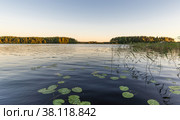 View lake with water lilies at sunset. Стоковое фото, фотограф Михаил Аккуратoв / Фотобанк Лори