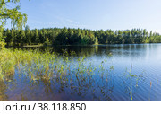 Landscape lake Haukivesi. In the foreground grass. (2015 год). Редакционное фото, фотограф Михаил Аккуратoв / Фотобанк Лори