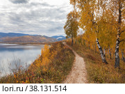 Baikal Lake in September. A path along the coast through a beautiful autumn forest with yellowed trees and fallen leaves to Shamansky Cape near the village of Slyudyanka. Autumn travel and outdoors. Стоковое фото, фотограф Виктория Катьянова / Фотобанк Лори