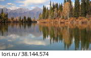 Close-up  view of clear water and small ripples of Irkut River with yellowed trees on shore and the mountains of Eastern Sayan in distance on sunny September day. Beautiful autumn calm landscape. Baikal region, Buryatia, Tunka foothill valley. Стоковое видео, видеограф Виктория Катьянова / Фотобанк Лори