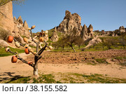 Древняя крепость Учхисар, Турция (2022 год). Стоковое фото, фотограф Сапрыгин Сергей / Фотобанк Лори
