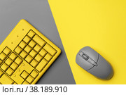 Computer keyboard and mouse in yellow gray colors. Стоковое фото, фотограф Сергей Толмачёв / Фотобанк Лори