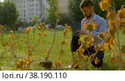 Inspector cheking root system of the bush. Стоковое видео, видеограф Chudakov_Ivan / Фотобанк Лори