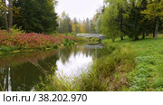 Александровский парк (Царское Село). Малый Ламский мост. Alexander Park (Tsarskoye Selo). Maly Lamsky Bridge. (2021 год). Редакционное видео, видеограф Евгений Романов / Фотобанк Лори