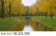 Александровский парк (Царское Село). Осенние клены по берегам Крестового канала. Alexander Park (Tsarskoye Selo). Autumn maples along the banks of the Krestovy Canal. (2021 год). Редакционное видео, видеограф Евгений Романов / Фотобанк Лори
