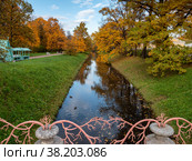 Александровский парк (Царское Село). Осенние клены по берегам Крестового канала. Alexander Park (Tsarskoye Selo). Autumn maples along the banks of the Krestovy Canal. (2021 год). Стоковое фото, фотограф Евгений Романов / Фотобанк Лори