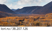 Камчатка, вид со сморовой вблизи Анавгая. Стоковое фото, фотограф Александр Максин / Фотобанк Лори