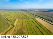 Живописные ряды сельскохозяйственных полей на летней ферме днем. Аэрофотосъемка, вид сверху с дрона. Сельскохозяйственный район Московской области. Аграрная земля в летнее время. Красота земли. Стоковое фото, фотограф Pukhov K / Фотобанк Лори