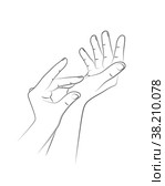 Two female hands in realistic gesture of stroking, rubbing and applying to skin moisturizing cream. Hand skin care to prolong health, beauty and youth. Skin care, nutrition and protection. Sketch. Две женские руки в реалистичном жесте поглаживания, растирания и нанесения на кожу увлажняющего крема. Уход за кожей рук для продления здоровья, красоты и молодости. Уход за кожей, питание и защита. Эскиз. Стоковая иллюстрация, иллюстратор Dmitry Domashenko / Фотобанк Лори