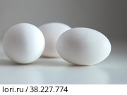 White chicken eggs on white background. Egg on table, natural healthy food. Creative minimalistic background. Concept organic farming and proper nutrition. Place for an inscription or logo. Стоковое фото, фотограф Aleksandr Golubev / Фотобанк Лори