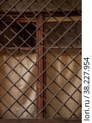 An old vintage window with heavy metal construction bars. Window with an open pane and lattice in Old city. Background. Security from burglary of apartment. Construction and design concept. Стоковое фото, фотограф Aleksandr Golubev / Фотобанк Лори