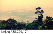 View from Phnom Bokor mountain to city Kampot in Cambodia with plants and trees in foreground and fog above clouds. Many French houses in center. Large background space for an inscription or logo. Стоковое фото, фотограф Aleksandr Golubev / Фотобанк Лори