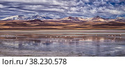 Impressive Laguna colorada - Red lake reflection, Andean Flamingos birds and Idyllic Altiplano Atacama Desert, Volcanic landscape panorama – Potosi region, Bolivian Andes, Bolívia (2015 год). Стоковое фото, фотограф Aleksandr Golubev / Фотобанк Лори