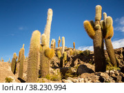 Uyuni salt marsh in Bolivia beautiful views sunsets and sunrises (2015 год). Стоковое фото, фотограф Aleksandr Golubev / Фотобанк Лори