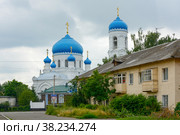 Biysk, Cathedral Of The Assumption Of The Blessed Virgin Mary (2016 год). Редакционное фото, фотограф Ольга Остроухова / Фотобанк Лори