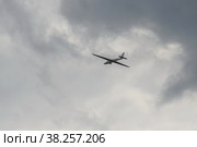 Польский планер высшего пилотажа MDM-1 Fox на Международном авиационно-космическом салоне МАКС-2021. Редакционное фото, фотограф Free Wind / Фотобанк Лори