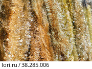 Golden tinsel for decorating the Christmas tree. Стоковое фото, фотограф Irina Kuchugurina/Gaudy / Фотобанк Лори