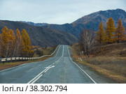 View of Chuysky Trakt in Altay mountains. Стоковое фото, фотограф Юлия Белоусова / Фотобанк Лори