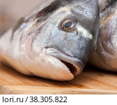 Fresh Dorada fish on wooden Background. Стоковое фото, фотограф Константин Шашков / Фотобанк Лори
