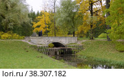 Екатерининский парк (Царское Село). Пудостский мост. Catherine Park (Tsarskoye Selo). The Pudostsky Bridge. (2021 год). Редакционное видео, видеограф Евгений Романов / Фотобанк Лори