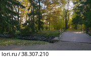Екатерининский парк (Царское Село). Дубовая аллея. Catherine Park (Tsarskoye Selo). The Oak Alley. (2021 год). Редакционное видео, видеограф Евгений Романов / Фотобанк Лори